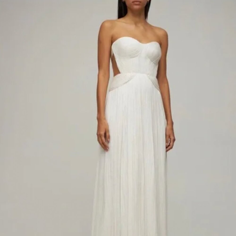 Maria Lucia Hohan  Kamina foiled silk tulle long dress